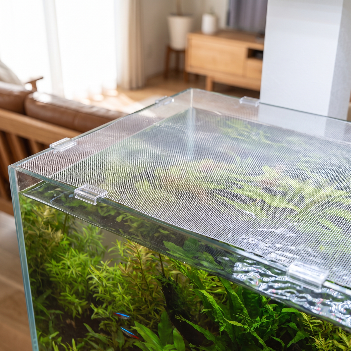 Stay-Clear clear mesh aquarium lid on a rimless planted tank