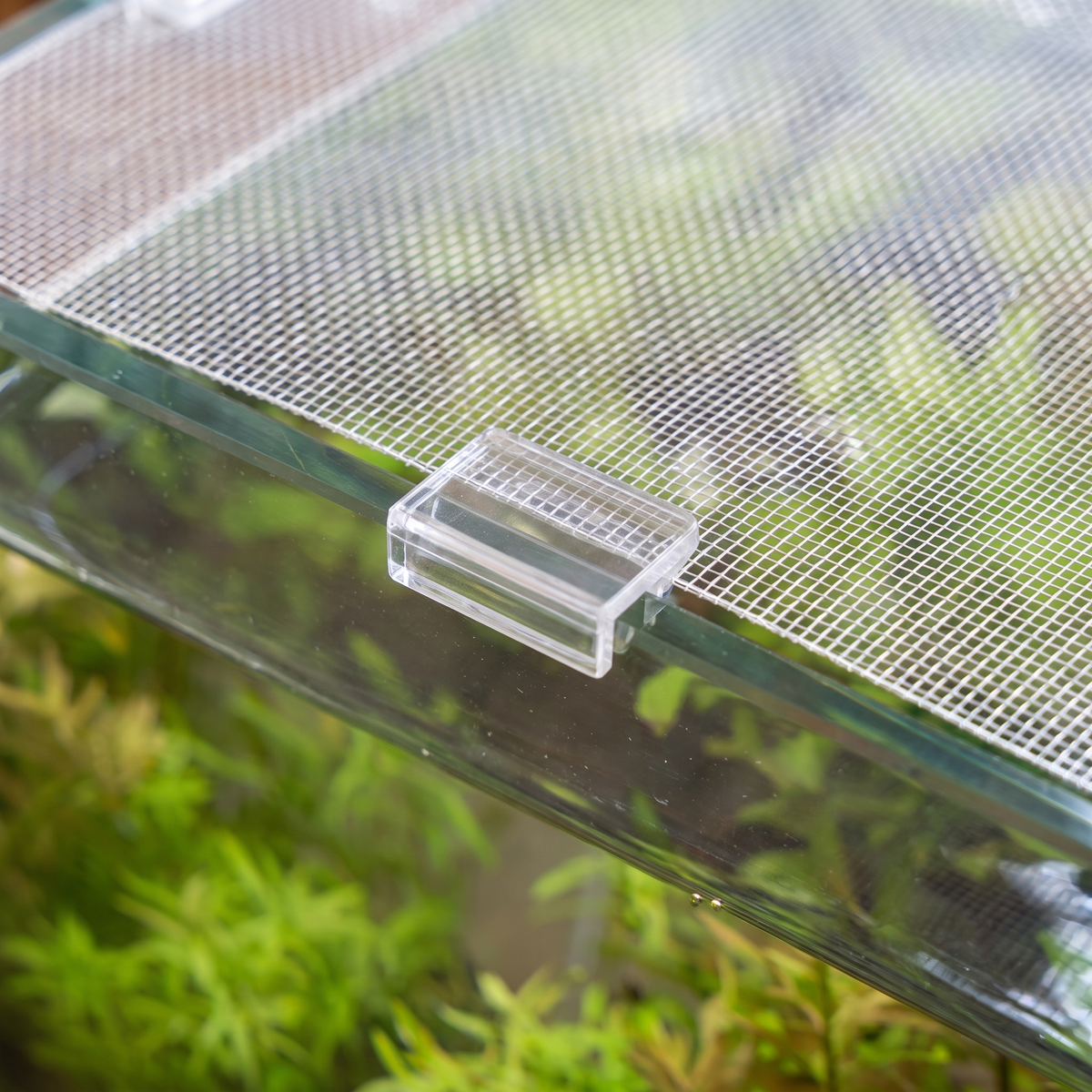 Transparent clip holding the Stay-Clear mesh lid on the tank rim