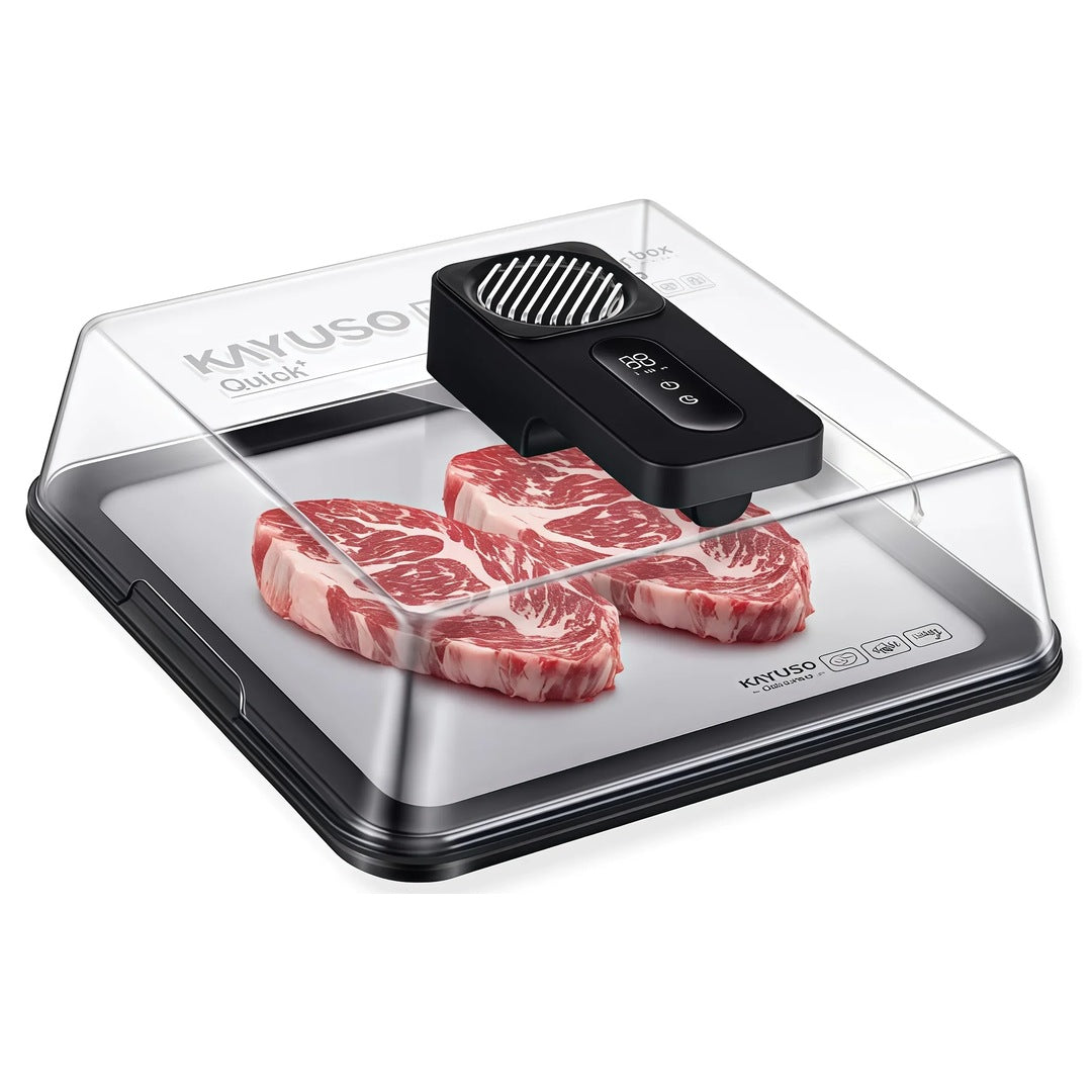 Quick Thaw Defrosting Box with two steaks on the tray under the clear lid, fan unit on top, white background